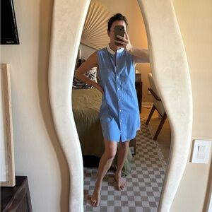 Alexander Wang shirt dress